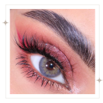 Russian gray ( تجميلي )